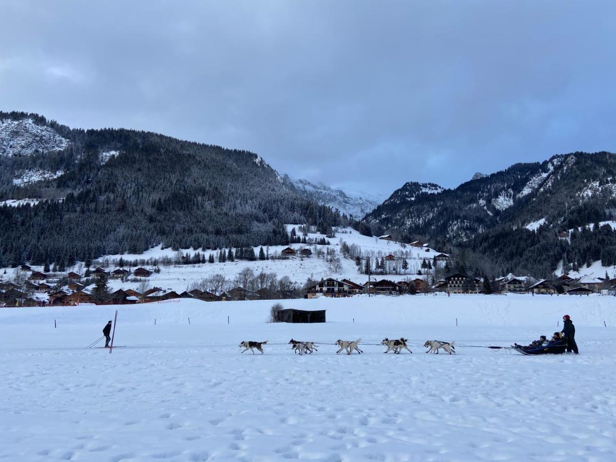 La Joly - Chalet Yap Abondance Kültér fotó