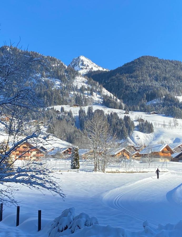 La Joly - Chalet Yap Abondance Kültér fotó