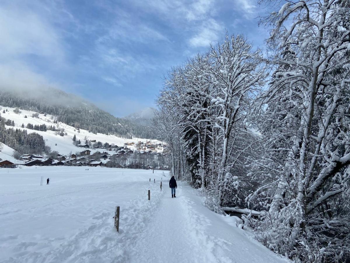 La Joly - Chalet Yap Abondance Kültér fotó